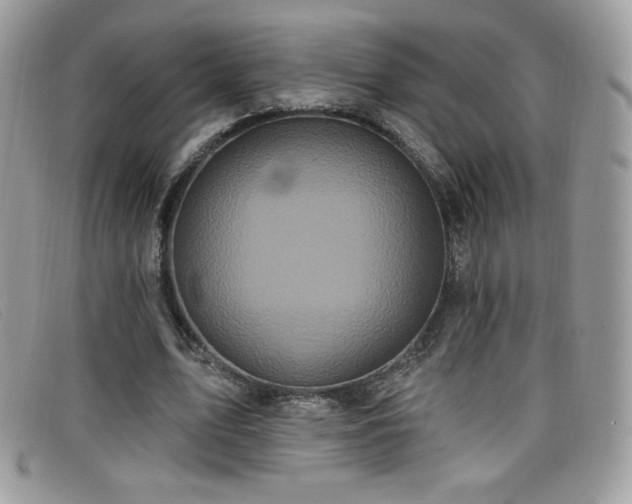 X0000099300583200805021233