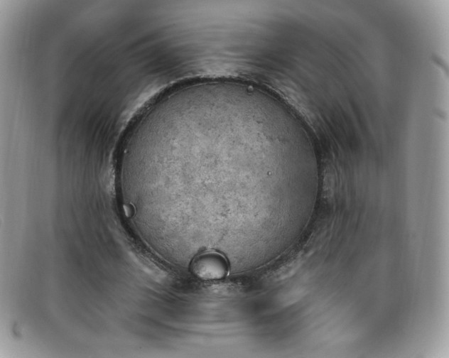 X0000099300584200805021233