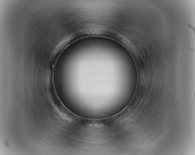 X0000099300586200805021233