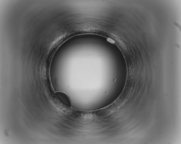 X0000099300587200805021233