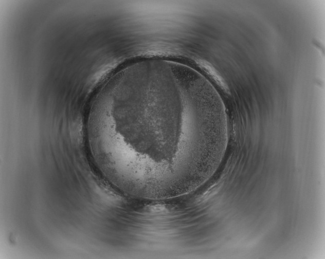 X0000099300588200805021233