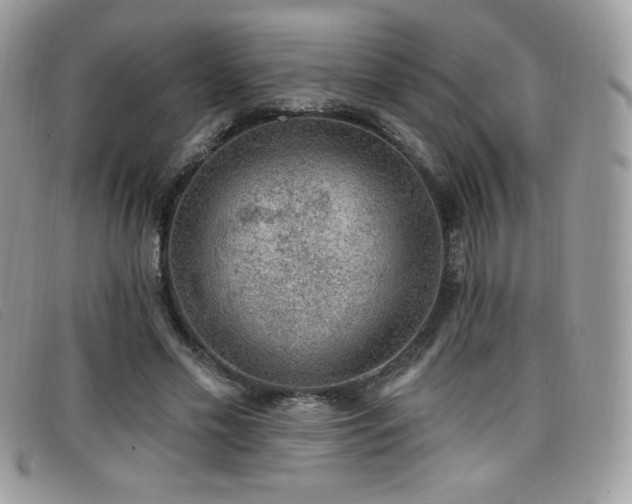 X0000099300589200805021233