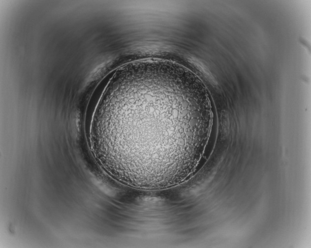 X0000099300590200805021233