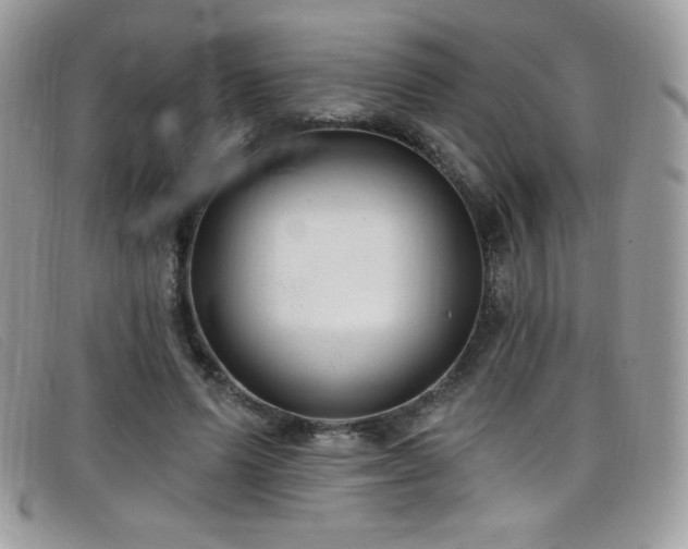 X0000099300591200805021233