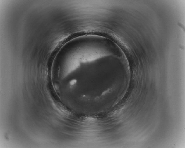 X0000099300592200805021233