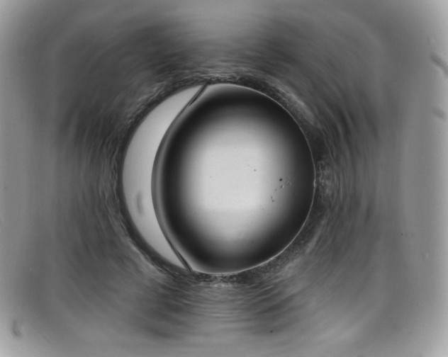 X0000099300593200805021233