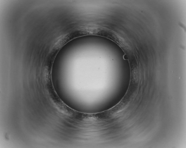 X0000099300594200805021233