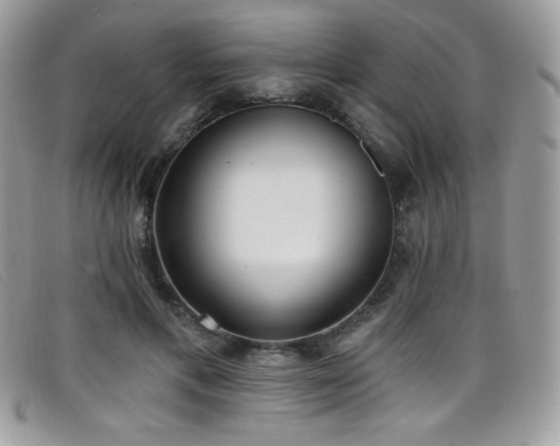 X0000099300597200805021233