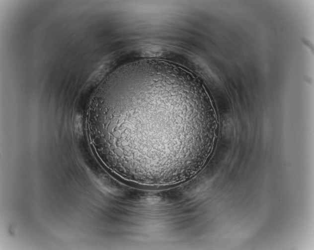 X0000099300598200805021233