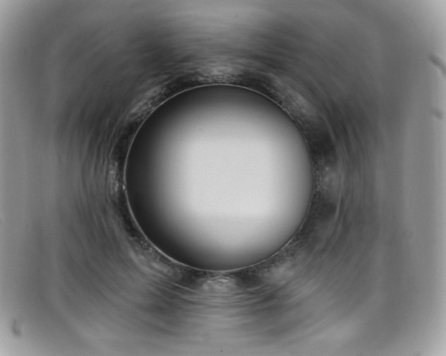 X0000099300599200805021233