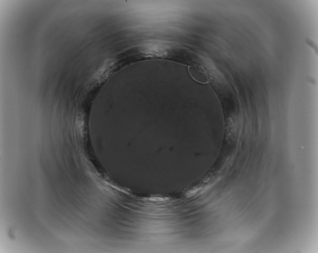 X0000099300600200805021233