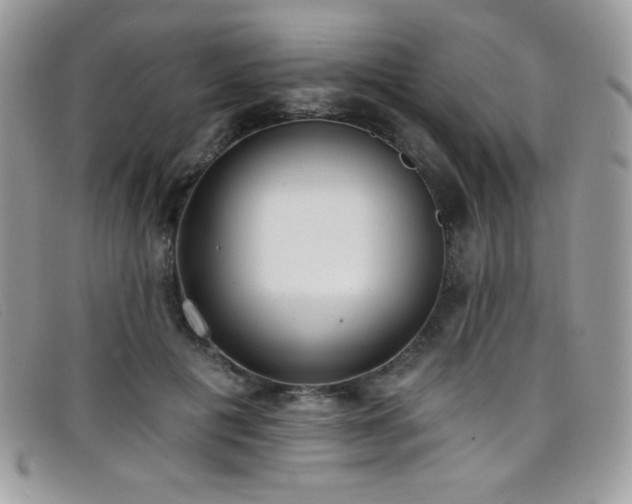 X0000099300601200805021233