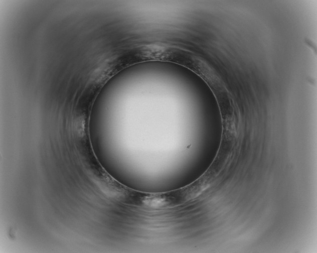 X0000099300602200805021233