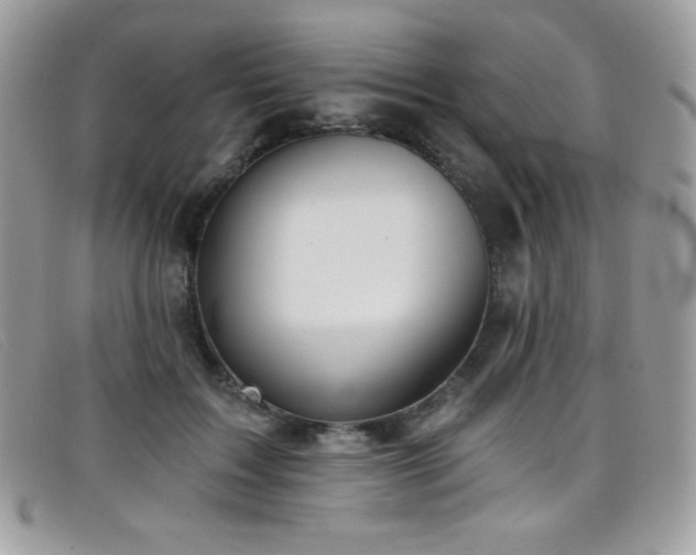 X0000099300603200805021233