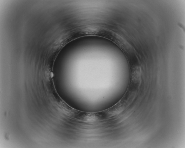 X0000099300604200805021233