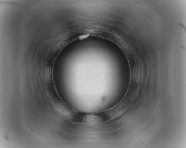 X0000099300605200805021233