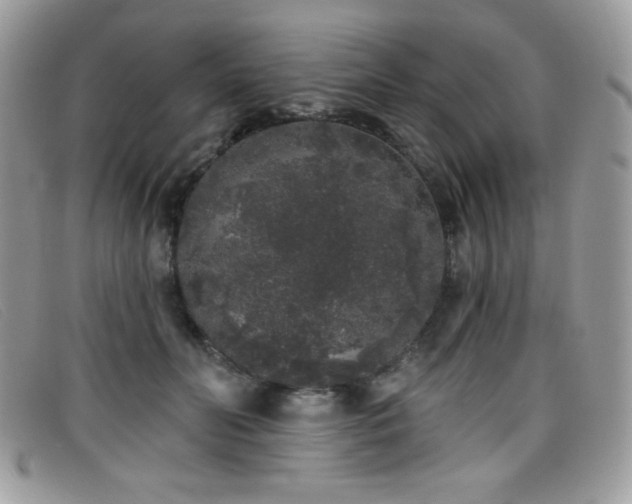 X0000099300606200805021232