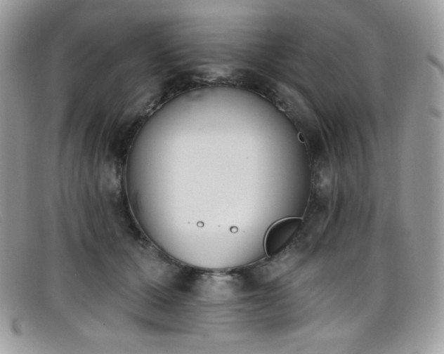 X0000099300607200805021232