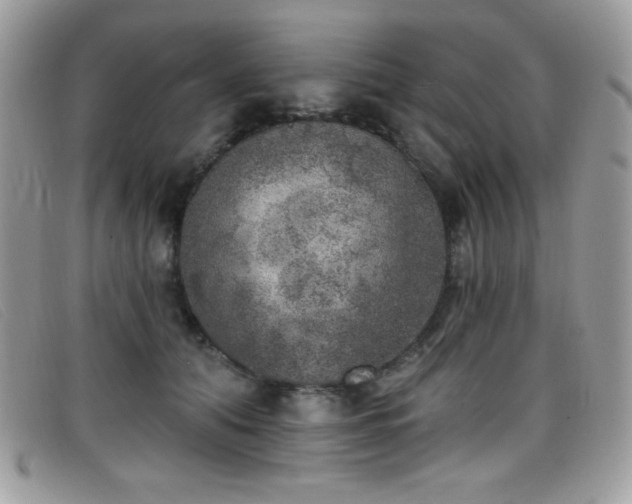 X0000099300608200805021232