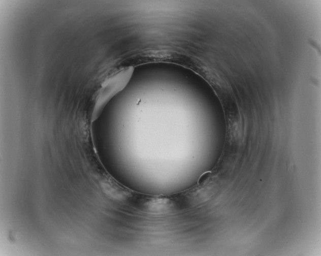 X0000099300609200805021232