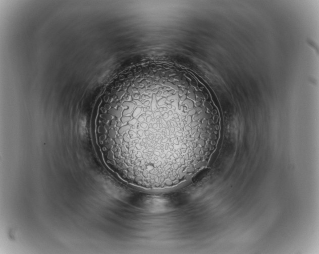 X0000099300610200805021232