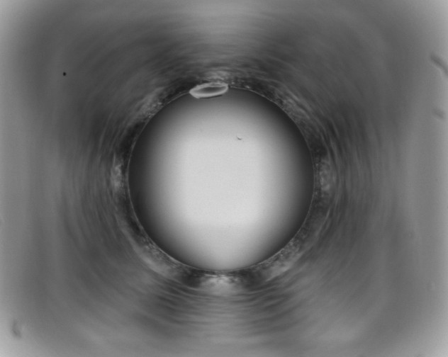 X0000099300611200805021232