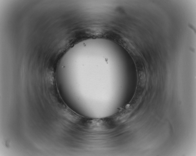 X0000099300612200805021232