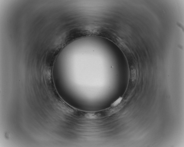 X0000099300613200805021232