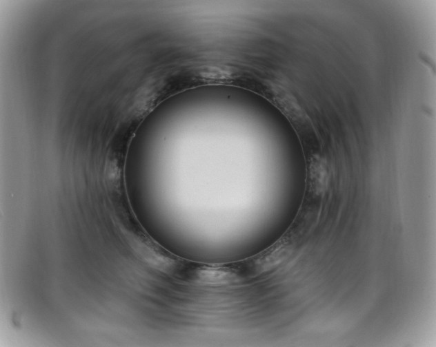 X0000099300614200805021232