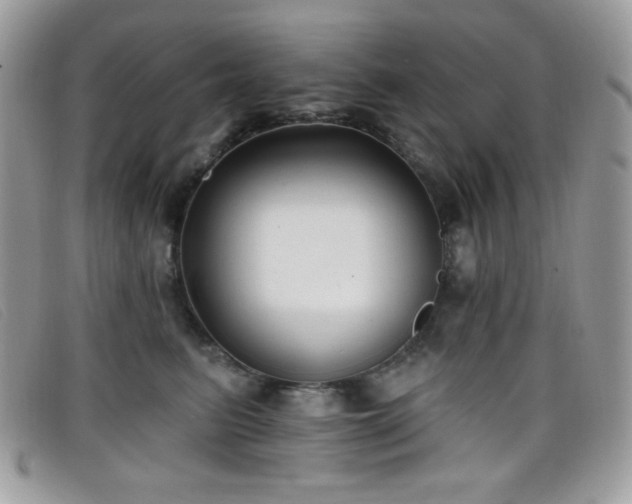 X0000099300615200805021232