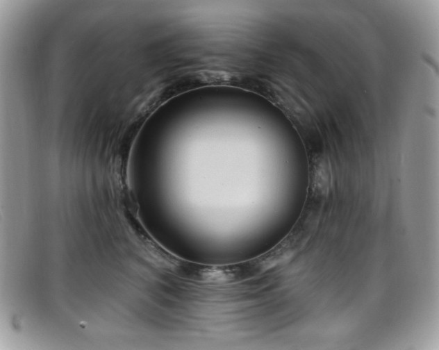 X0000099300616200805021232