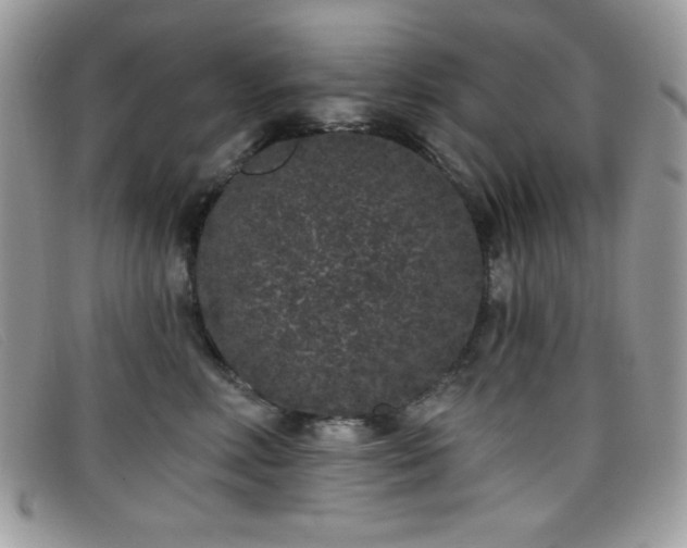 X0000099300618200805021232