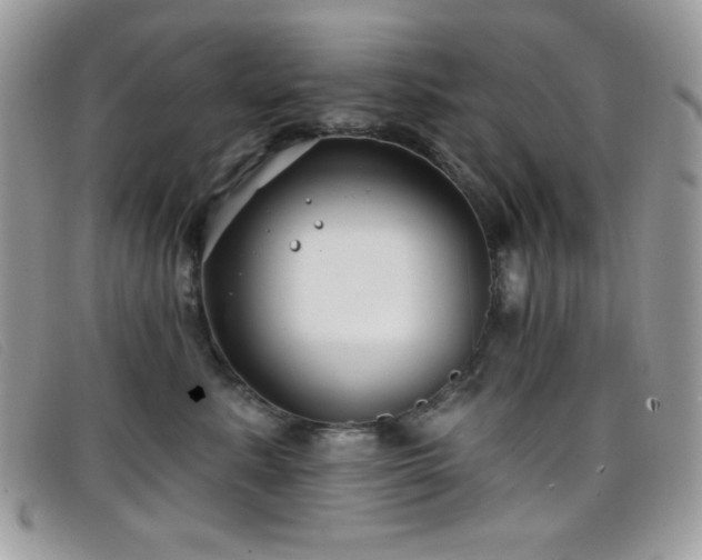 X0000099300619200805021232