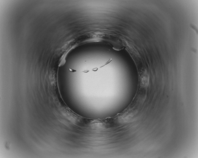 X0000099300620200805021232