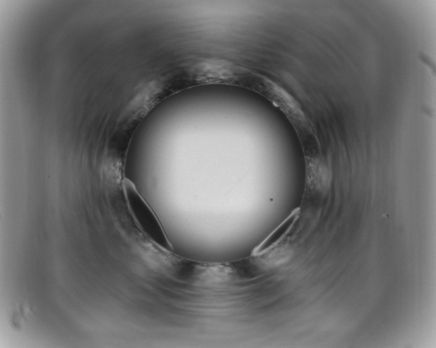 X0000099300621200805021232