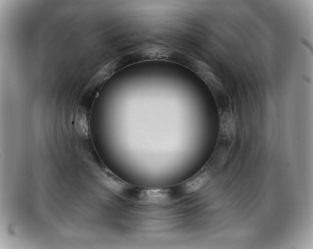 X0000099300622200805021232