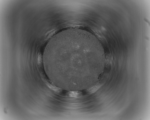 X0000099300623200805021232