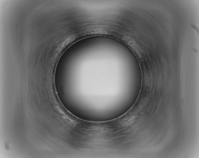 X0000099300625200805021232