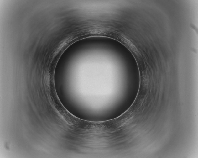 X0000099300626200805021232