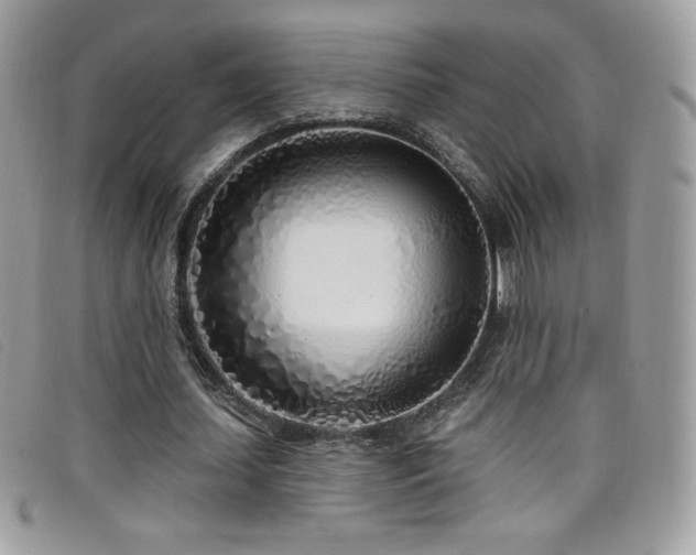 X0000099300627200805021232