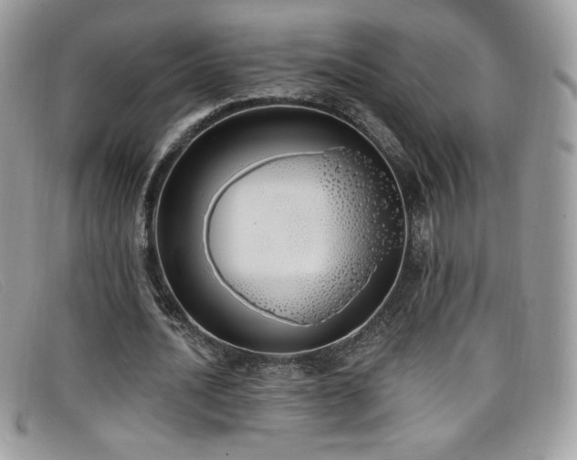 X0000099300628200805021232