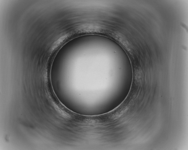 X0000099300629200805021232