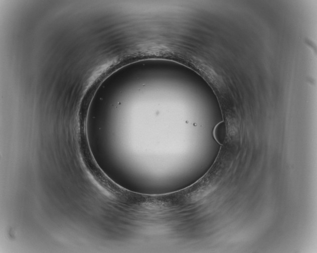 X0000099300630200805021232