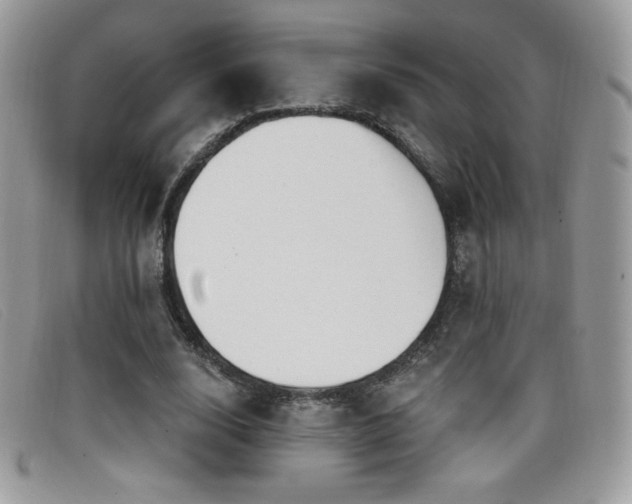 X0000099300632200805021232