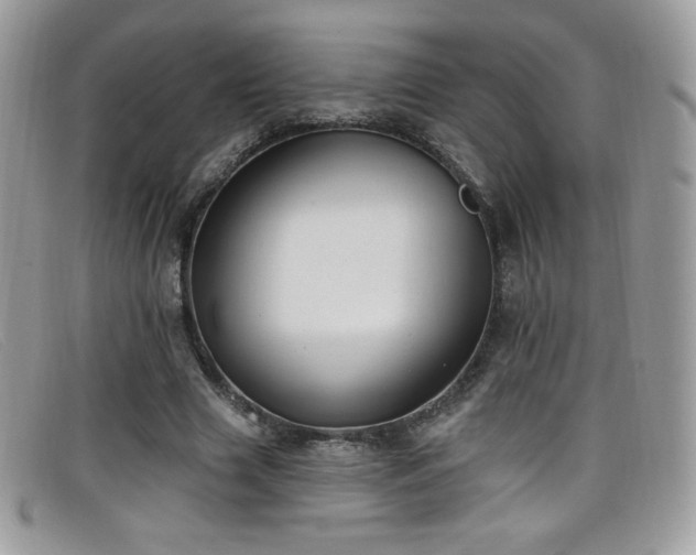 X0000099300633200805021232