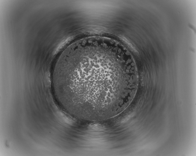 X0000099300634200805021232