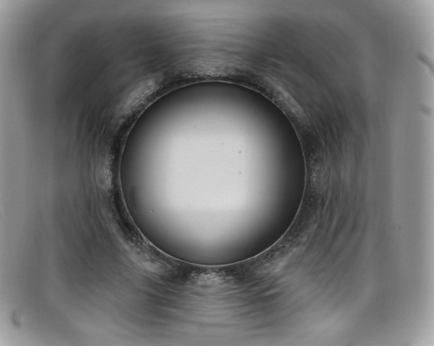 X0000099300635200805021232