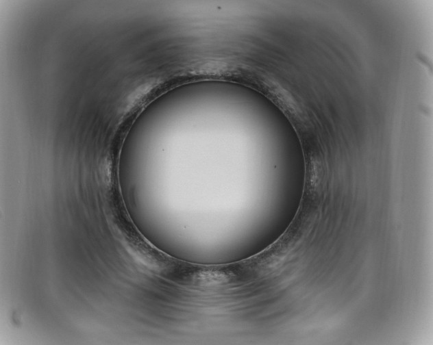 X0000099300636200805021232