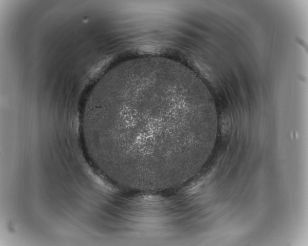 X0000099300637200805021232