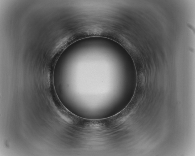 X0000099300638200805021232